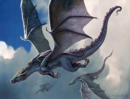 Draci